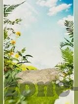 91麻豆app破解版-91麻豆app，揭秘与思考的双向视角