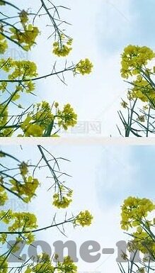 91麻豆果冻传媒-探秘91麻豆果冻传媒的艺术与边界，内容创作的多样性与行业责任