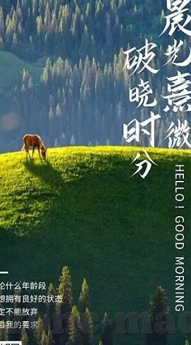麻豆短视频官方苹果-麻豆短视频，解锁苹果手机的全新娱乐方式