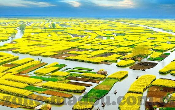 破解版麻豆视频-别让破解版的优雅变成非法之举，构建理性内容消费观