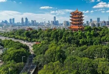人妻互换-探索人妻互换，一种社会现象的细腻剖析